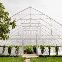Greenhouses and Agricultural Applications